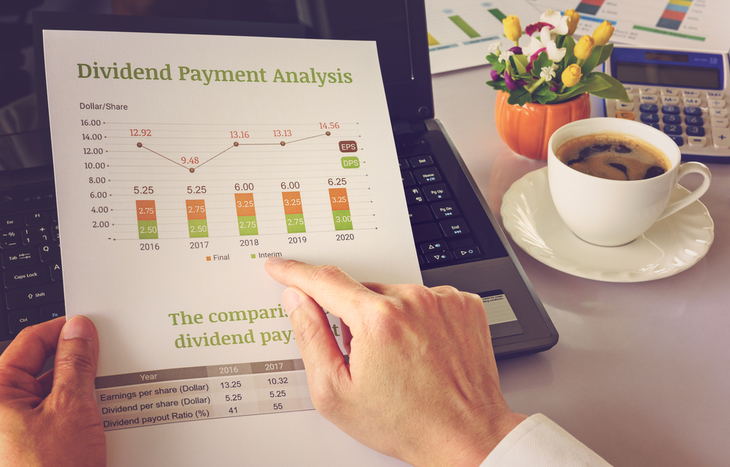 dividend reinvestment plan with a payment schedule