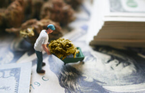 The Five Best Marijuana ETFs to Invest In This Year