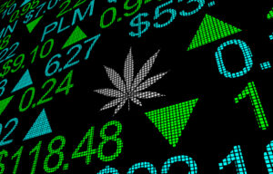 The Top Marijuana Stocks to Watch and Invest in for 2022