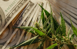 6 Marijuana Penny Stocks to Watch in 2022