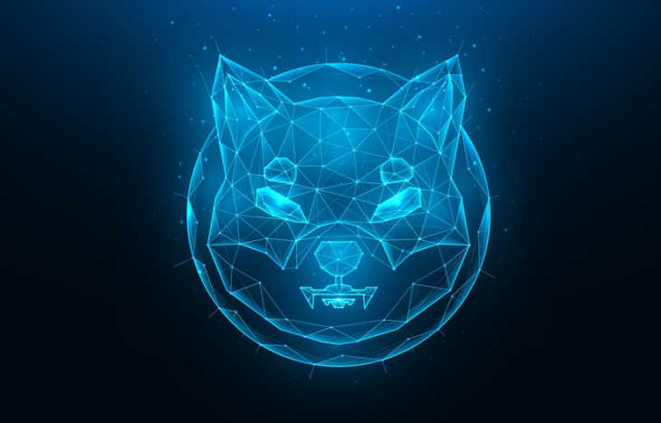 The Shiba Inu coin price prediction for 2025 is looking up