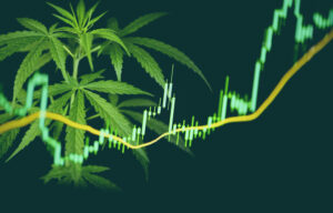 Top 11 Marijuana Penny Stocks List 2022