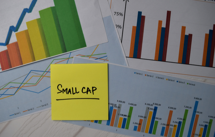 Analyzing a small cap company